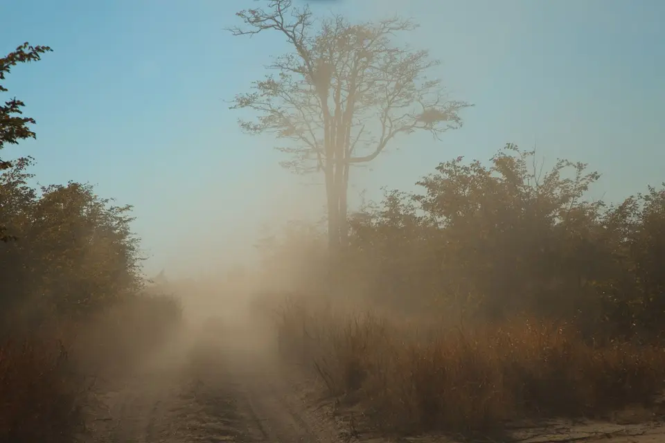 Botswana_Moremi_133.jpg