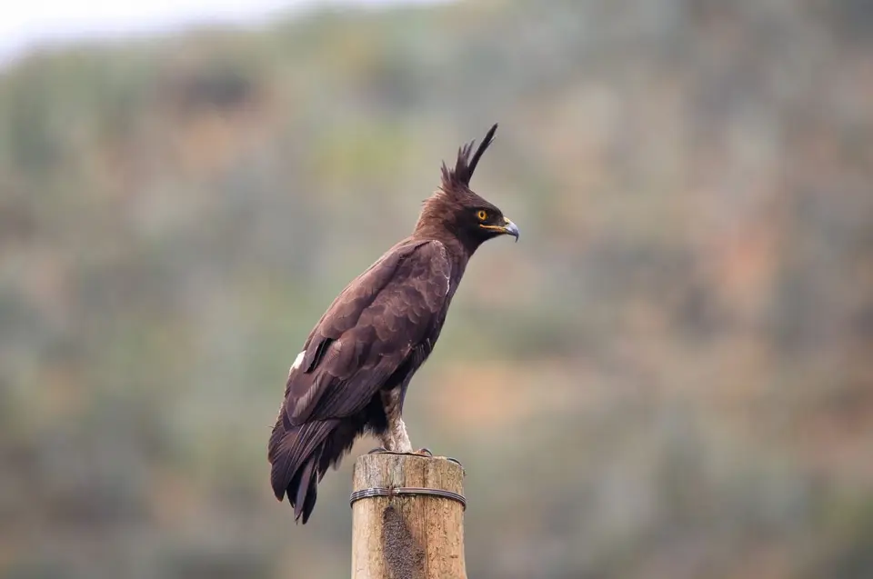 Botswana_Tsodillo_047.jpg