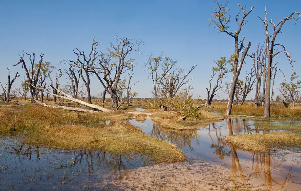 Botswana_Xakanaxa_066.jpg
