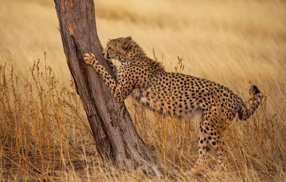 Namibia_Bagadelle_27.jpg
