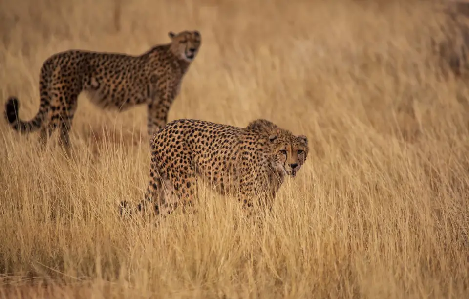 Namibia_Bagadelle_31.jpg