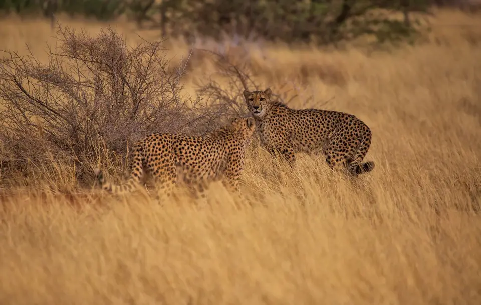 Namibia_Bagadelle_39.jpg
