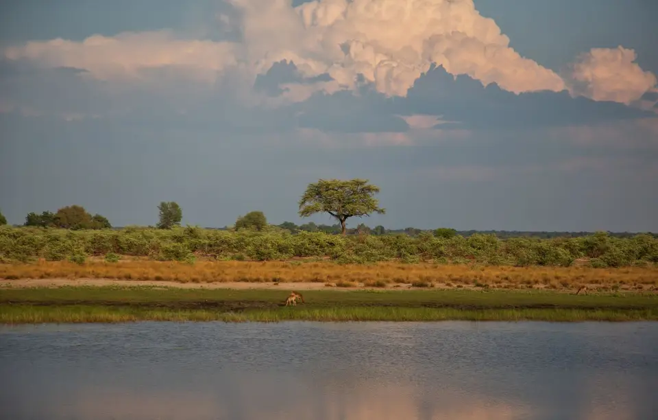 Namibia_BwabwataNP_030.jpg