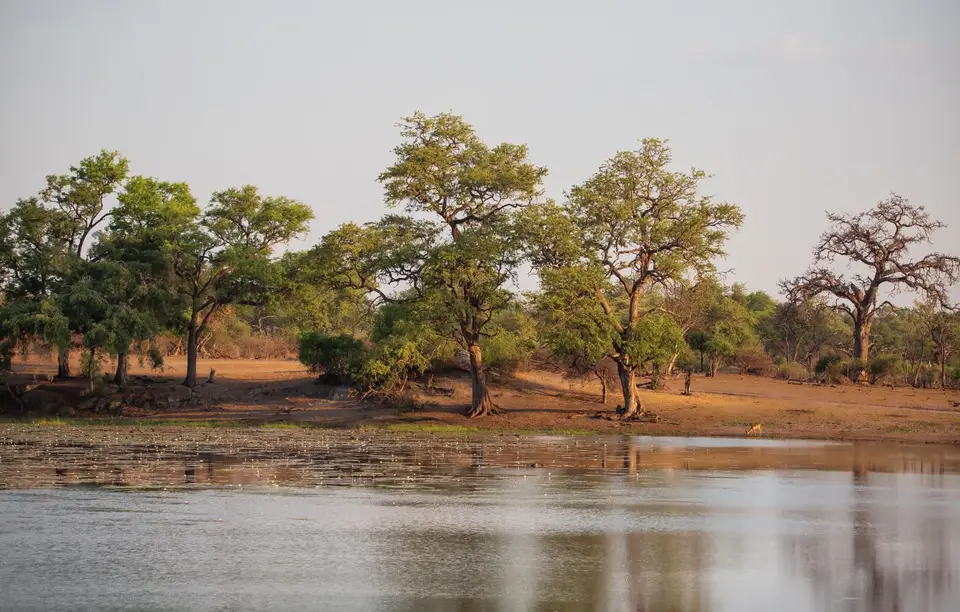 Namibia_BwabwataNP_031.jpg