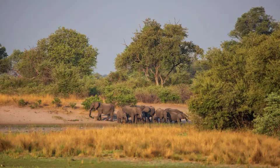 Namibia_BwabwataNP_033.jpg