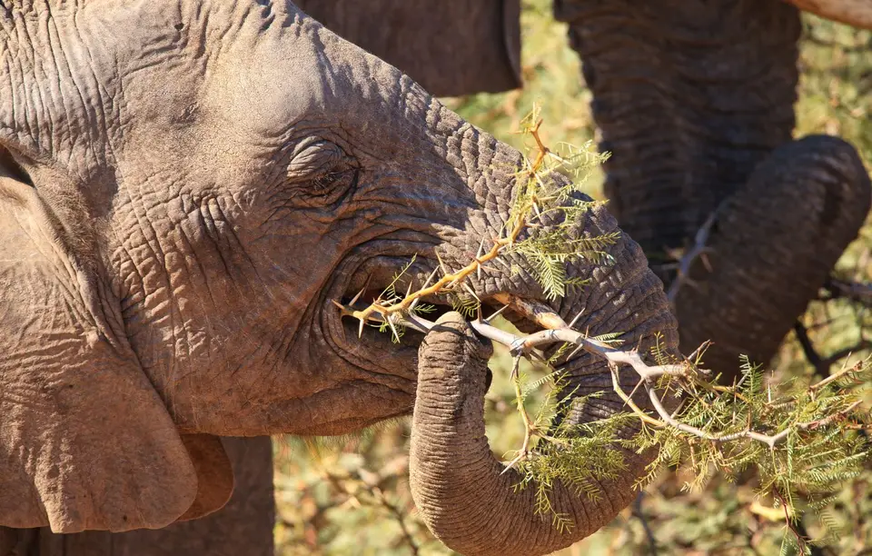Namibia_Damaraland_022.jpg