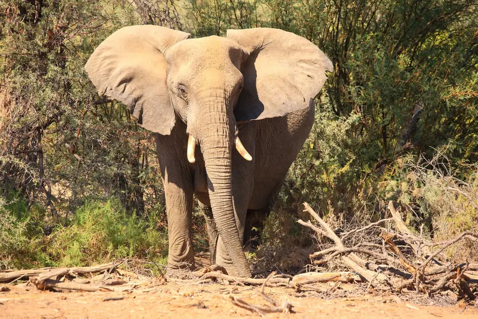 Namibia_Damaraland_030.jpg