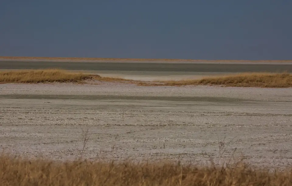 Namibia_Etosha_1008.jpg