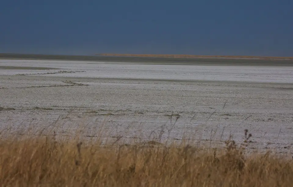 Namibia_Etosha_1009.jpg