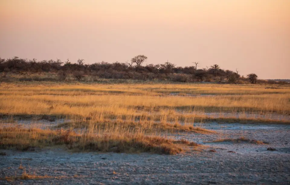 Namibia_Etosha_1050.jpg