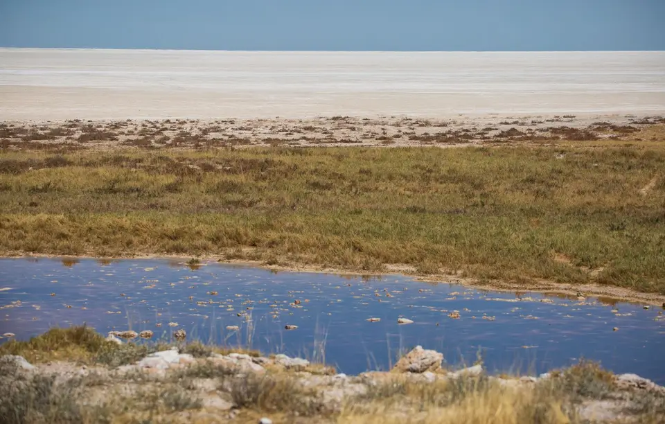 Namibia_Etosha_1213.jpg