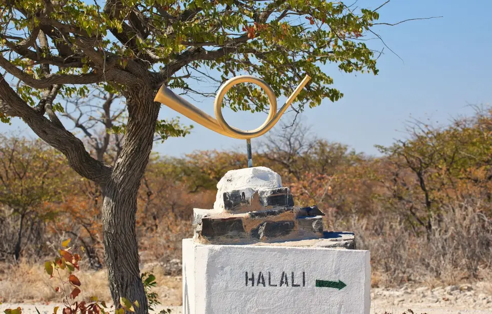 Namibia_Etosha_140.jpg