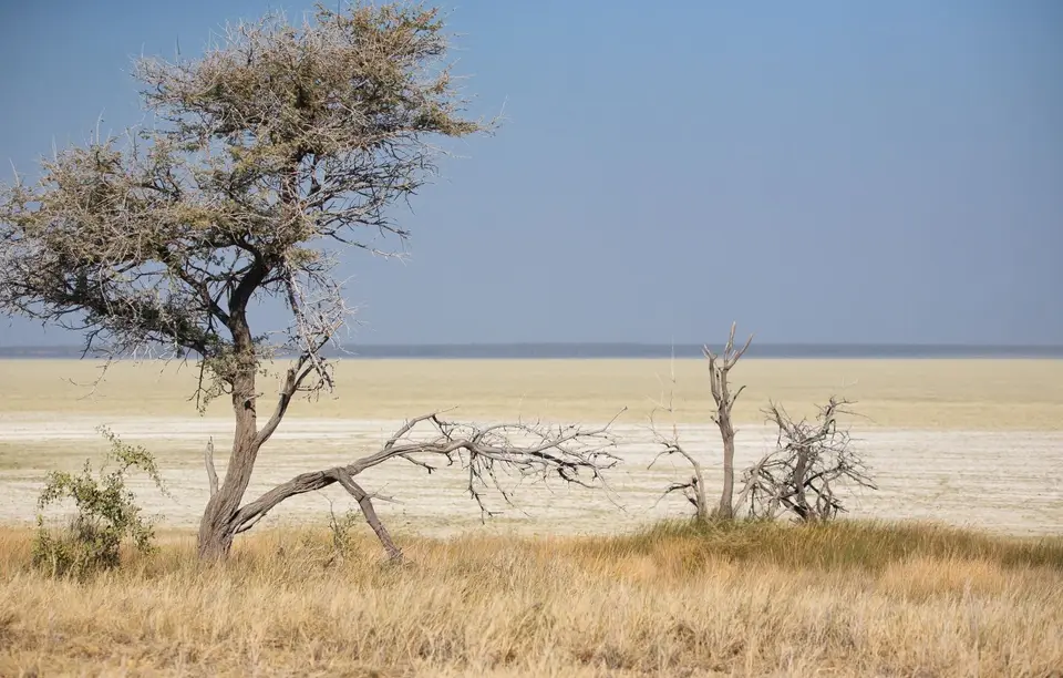 Namibia_Etosha_213.jpg