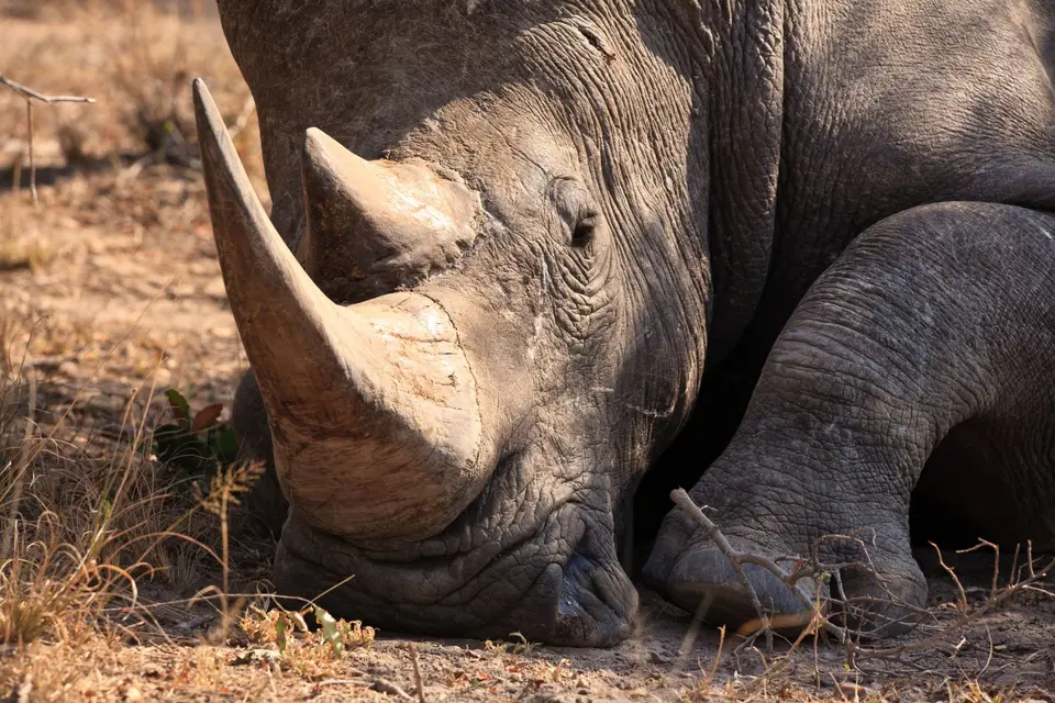 Namibia_Etosha_238.jpg