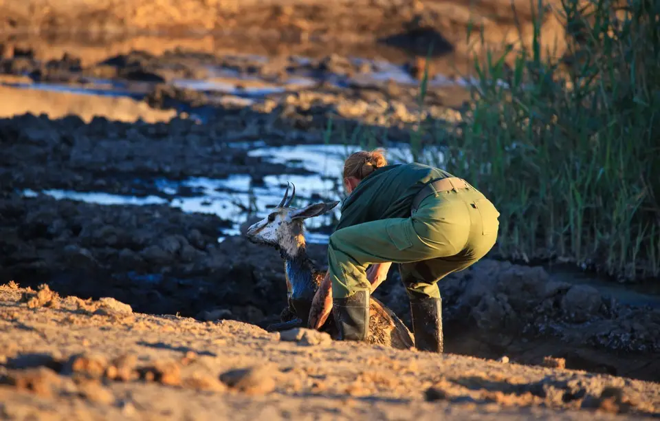 Namibia_Etosha_495.jpg
