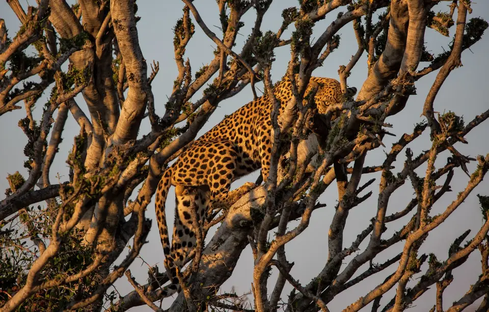 Namibia_Etosha_732.jpg