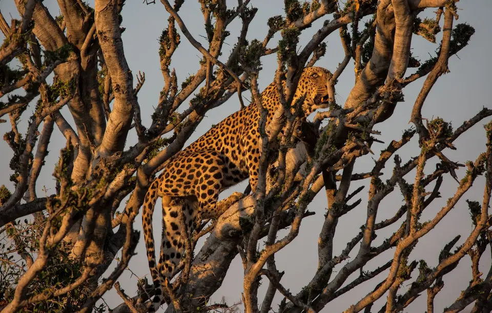 Namibia_Etosha_733.jpg