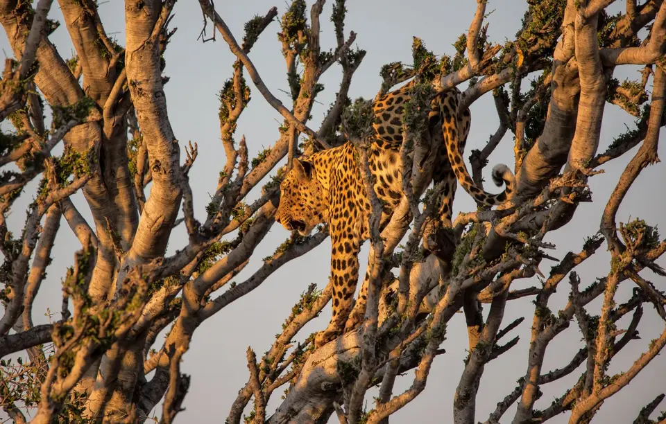 Namibia_Etosha_735.jpg
