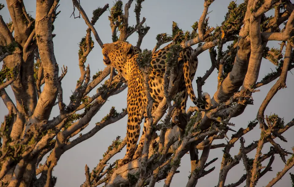Namibia_Etosha_738.jpg