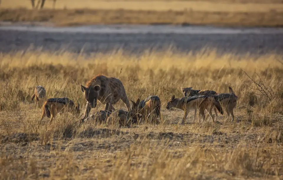 Namibia_Etosha_748.jpg