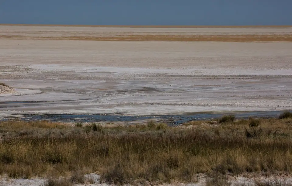 Namibia_Etosha_949.jpg