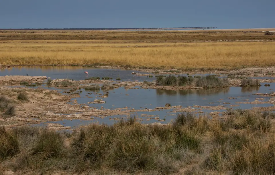 Namibia_Etosha_951.jpg