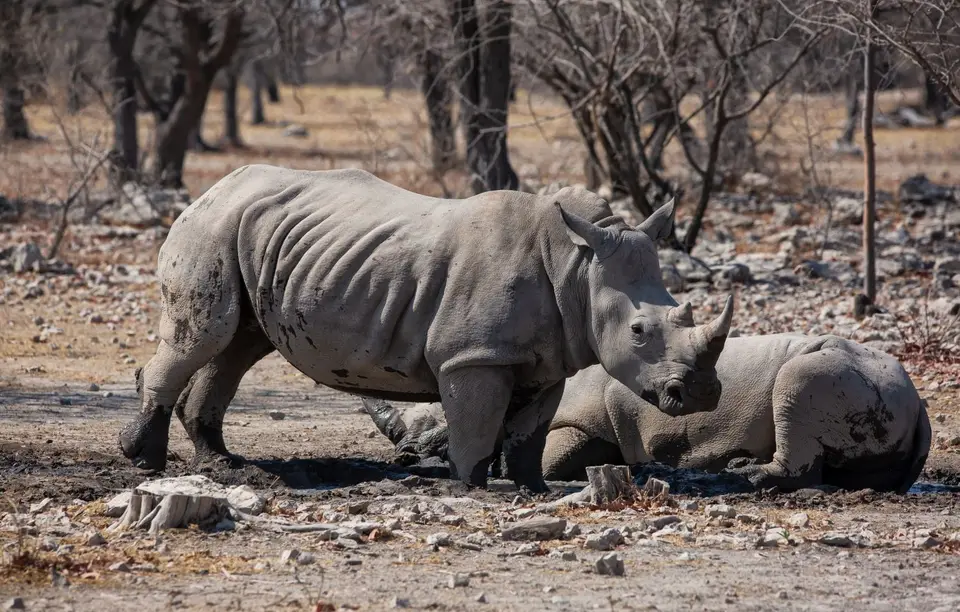 Namibia_Etosha_Oberlandlodge_19.jpg