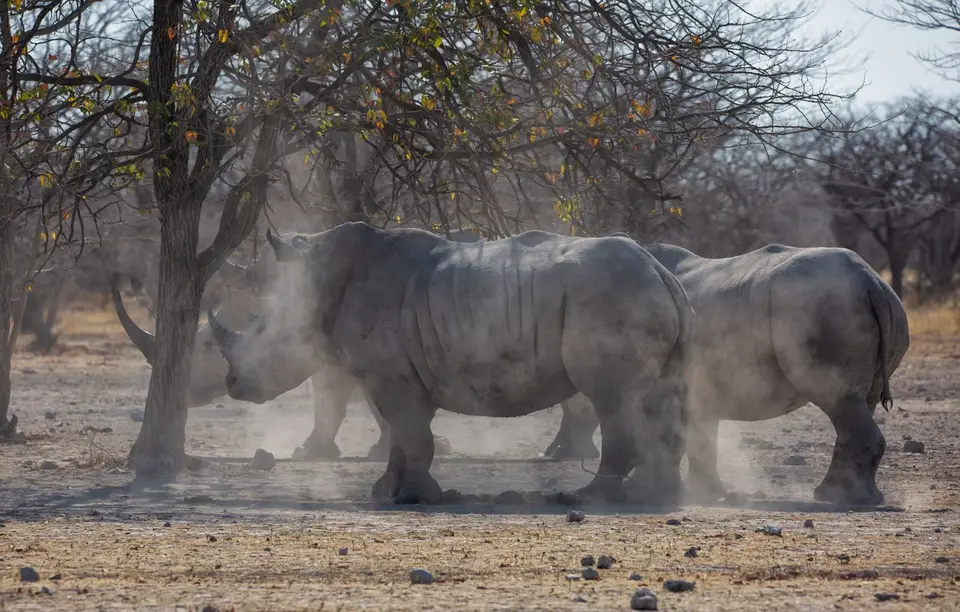 Namibia_Etosha_Oberlandlodge_29.jpg