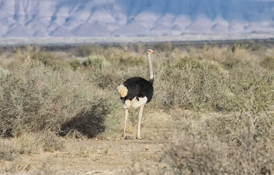 Namibia_Fischrivercanyon_57.jpg