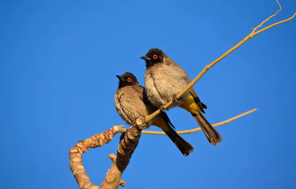 Namibia_Grootberglodge_25.jpg