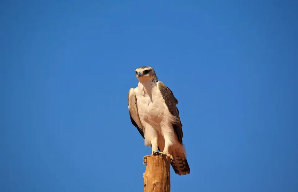 Namibia_Grootberglodge_33.jpg