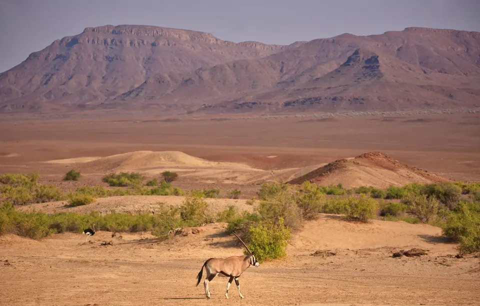 Namibia_Hoarusib_004.jpg