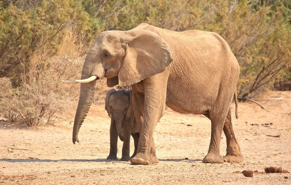 Namibia_Hoarusib_015.jpg