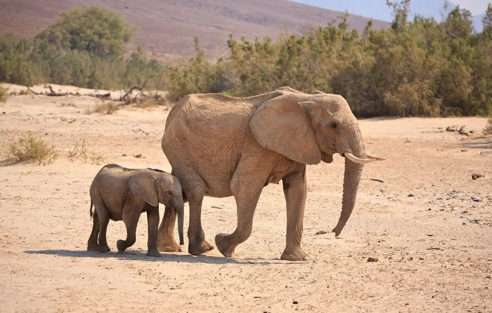 Namibia_Hoarusib_022.jpg