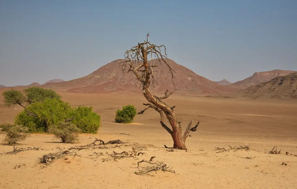 Namibia_Hoarusib_028.jpg