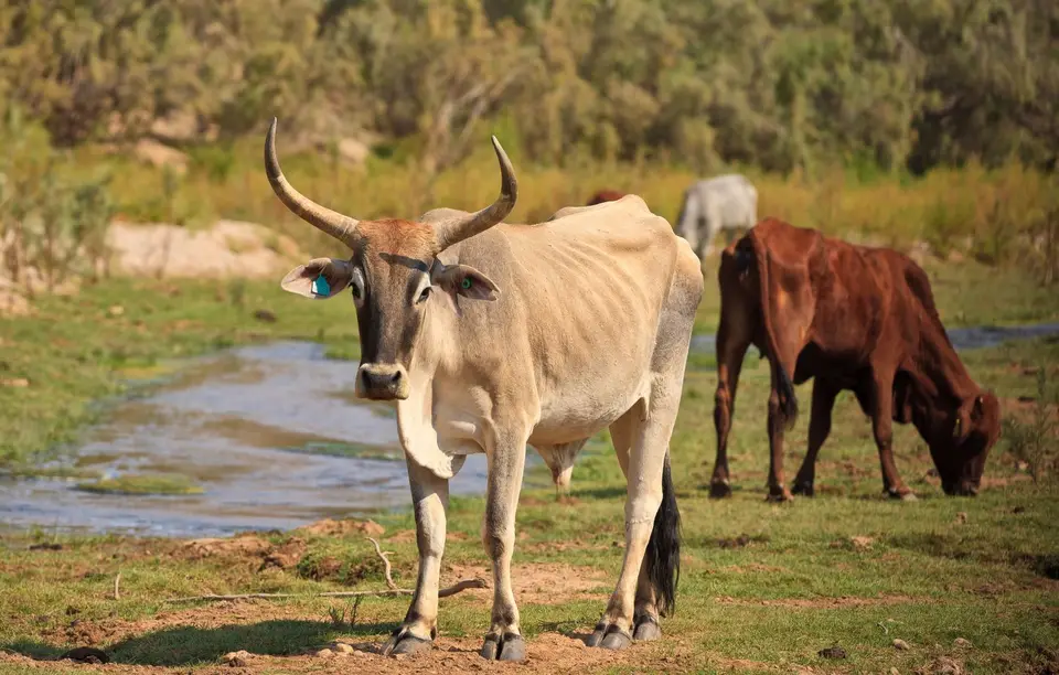 Namibia_Hoarusib_029.jpg