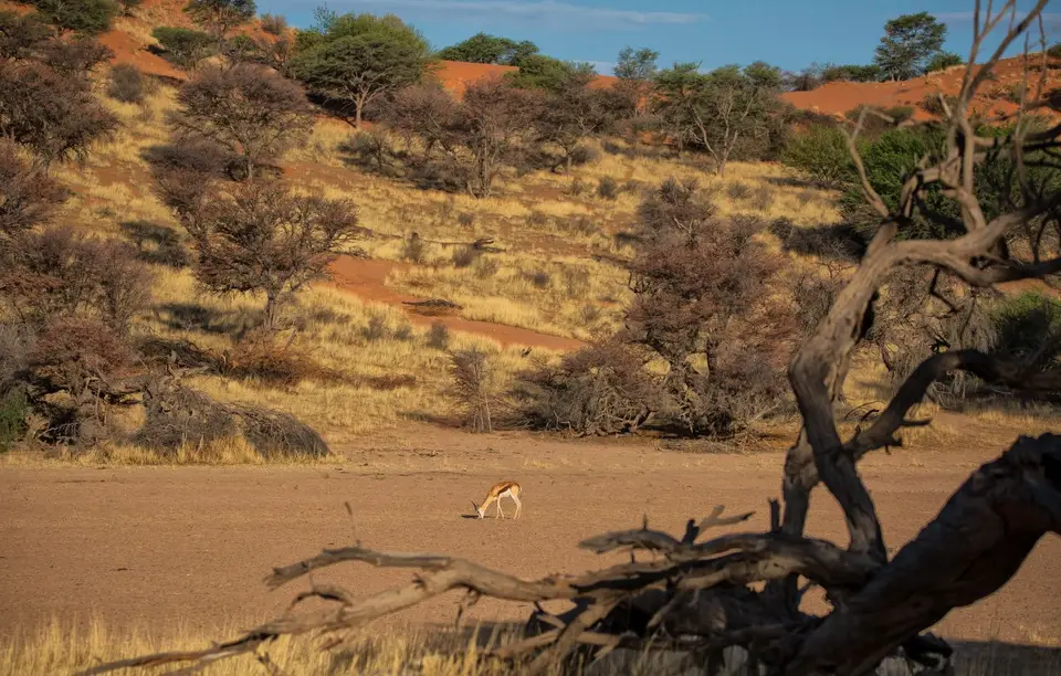 Namibia_KalahariGameLodge_03.jpg
