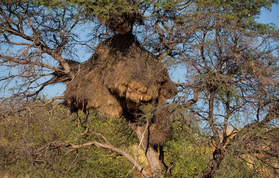Namibia_KalahariGameLodge_15.jpg