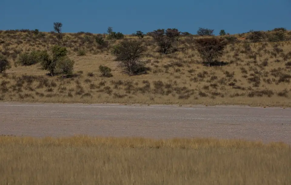 Namibia_KalahariGameLodge_18.jpg