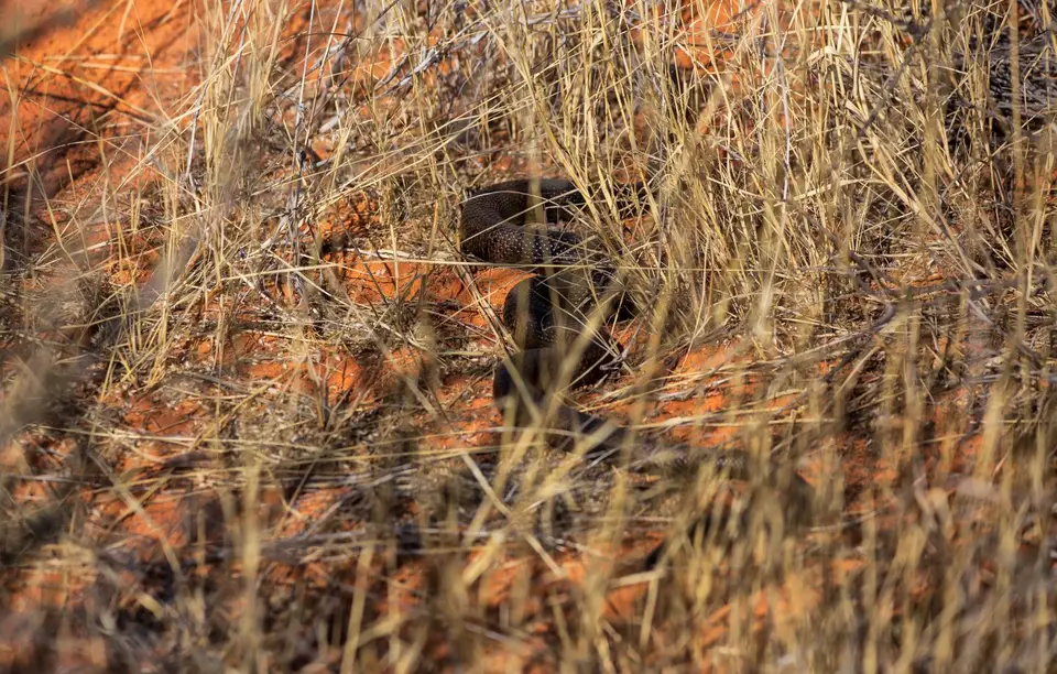 Namibia_KalahariGameLodge_23.jpg