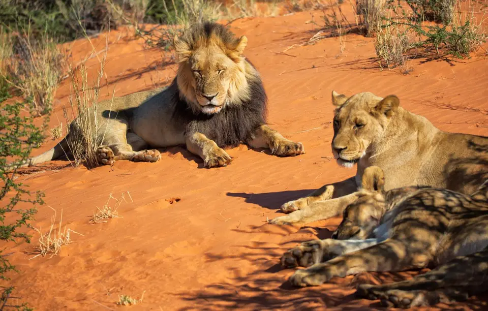 Namibia_KalahariGameLodge_27.jpg