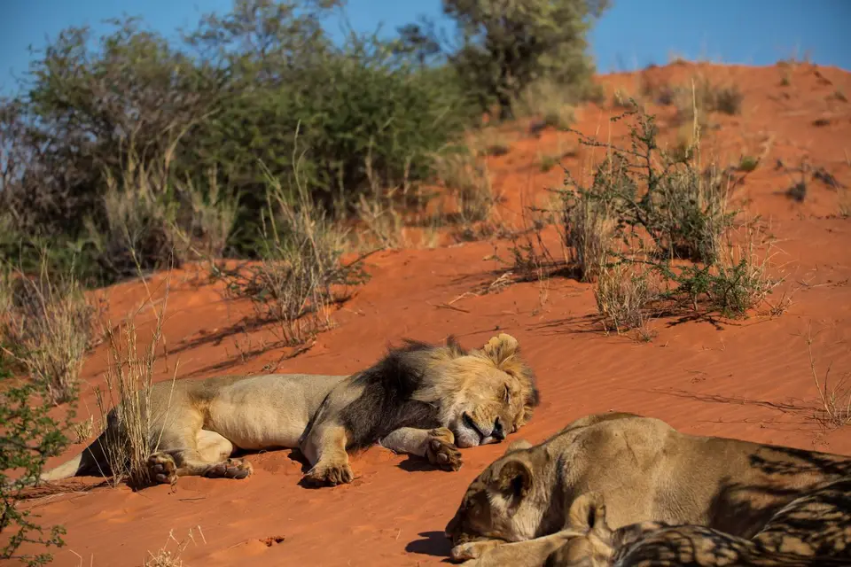 Namibia_KalahariGameLodge_30.jpg
