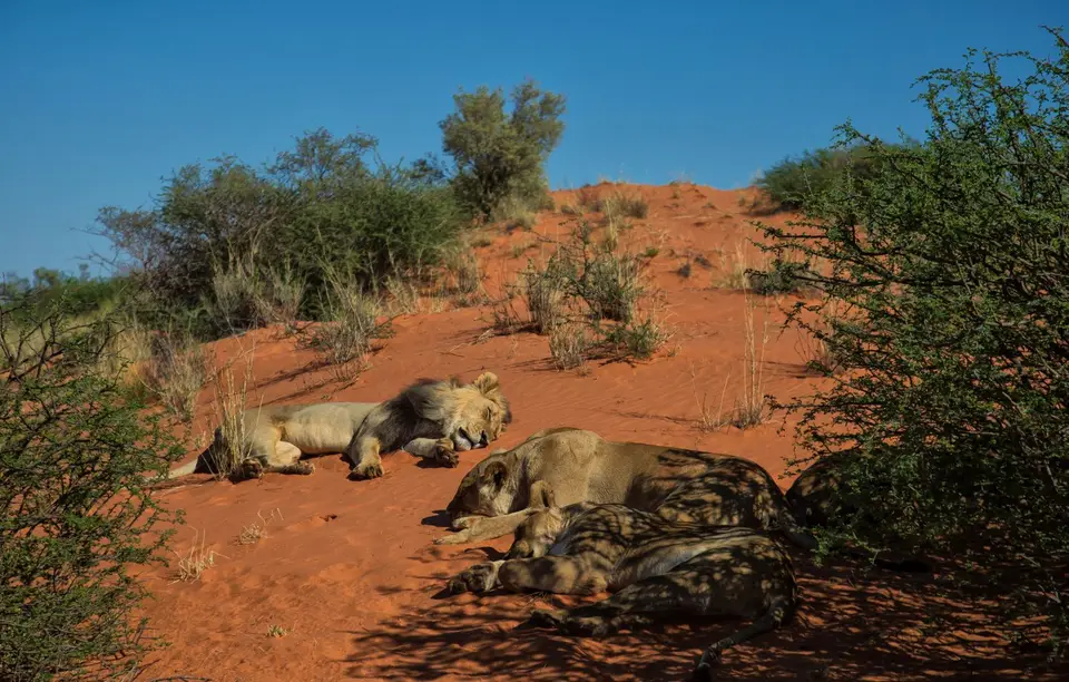 Namibia_KalahariGameLodge_32.jpg