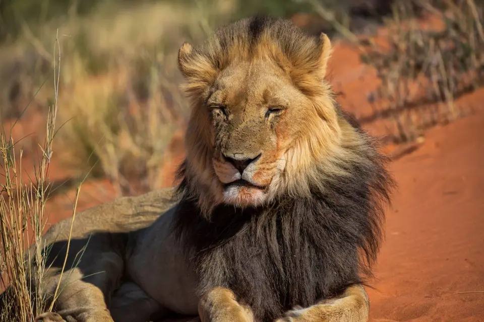 Namibia_KalahariGameLodge_42.jpg