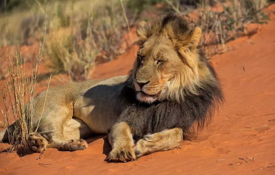 Namibia_KalahariGameLodge_44.jpg