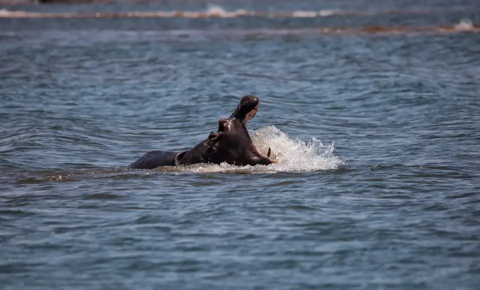Namibia_Katima_Zambezi_001.jpg