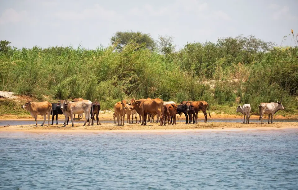 Namibia_Katima_Zambezi_002.jpg