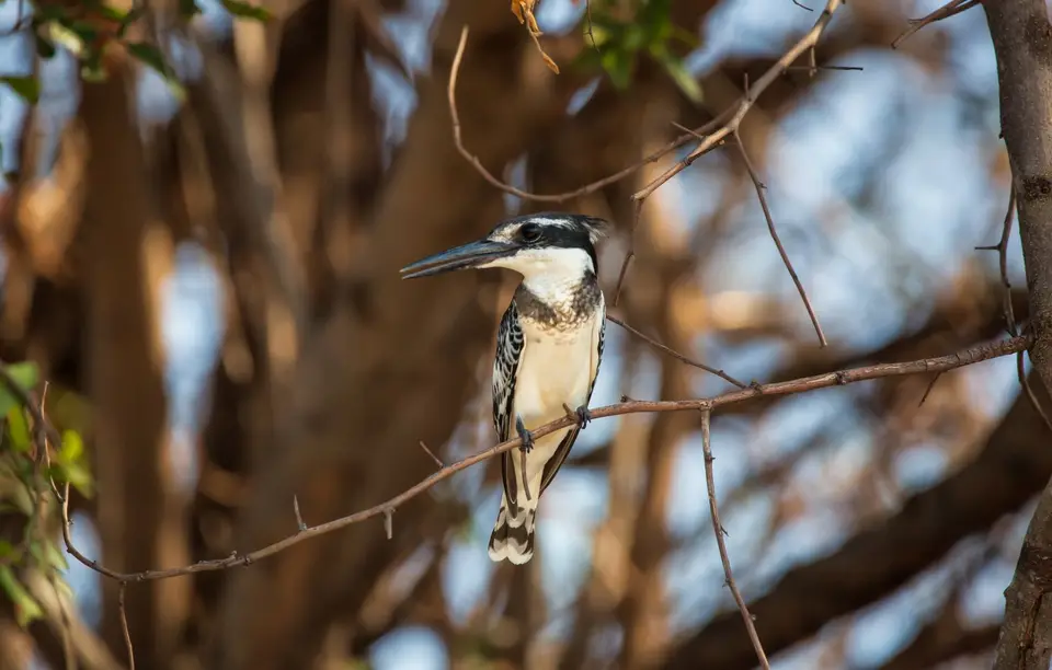 Namibia_Katima_Zambezi_010.jpg