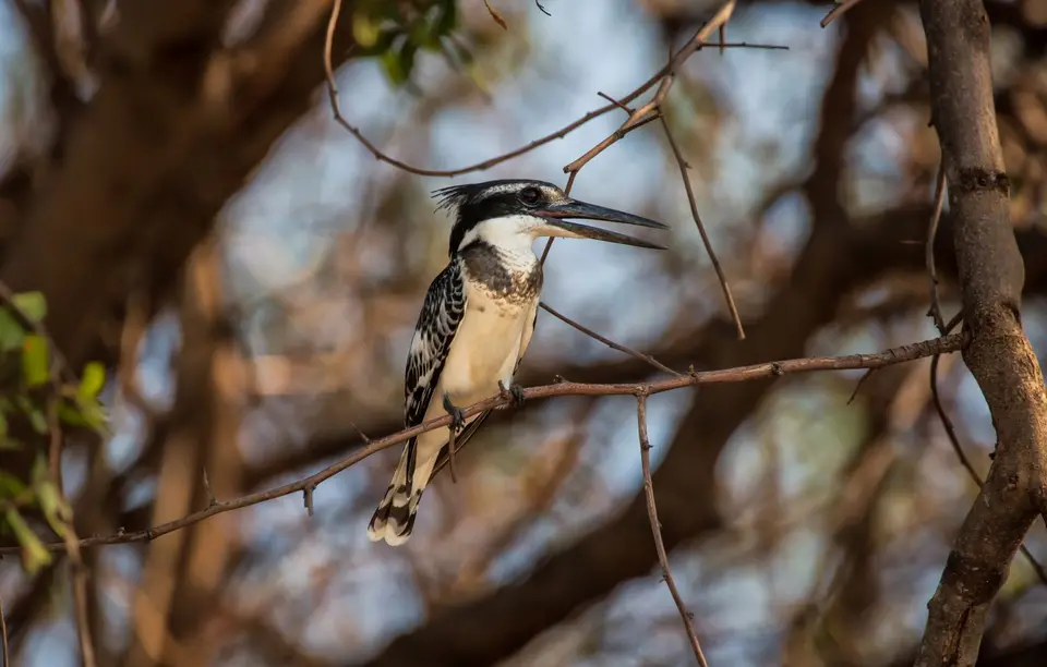 Namibia_Katima_Zambezi_011.jpg