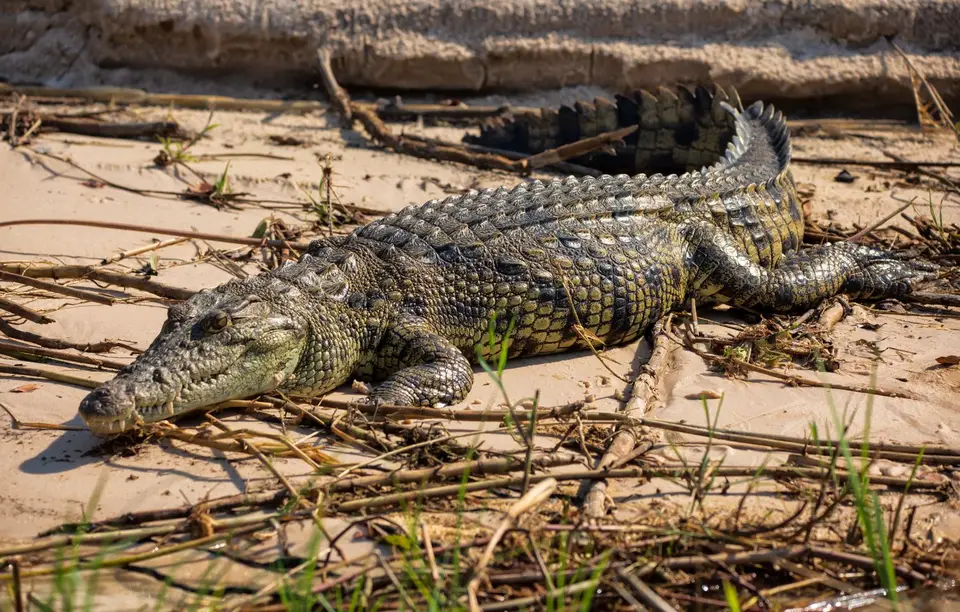 Namibia_Katima_Zambezi_013.jpg